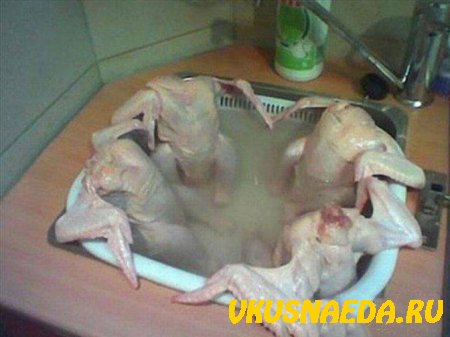 Джакузи для куриц