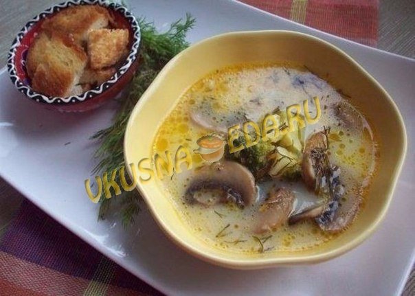 Как приготовить сырный суп Как приготовить сырный суп